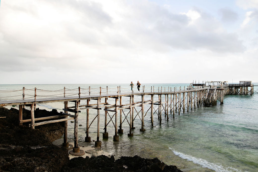 1033AC0I0795 1033AC0I0795